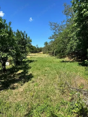 Teren Intravilan Slatina OLT - 2.150 m2 - toate utilitățile - imagine 2