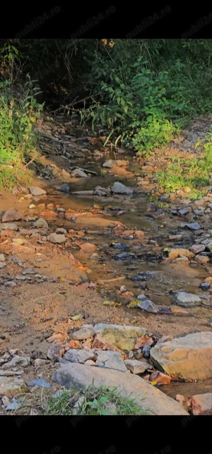 Casa cu teren. Săvârșin. Arad - imagine 6