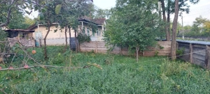 casa batraneasca de vanzare - imagine 2