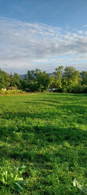 casa batraneasca de vanzare - imagine 5