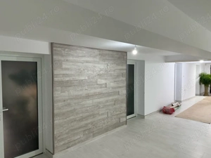 ofer spre inchiriere - imagine 4