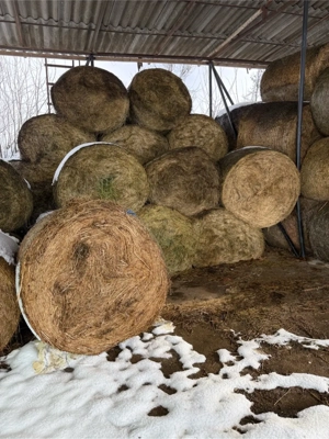 Baloti Lucerna  - imagine 3