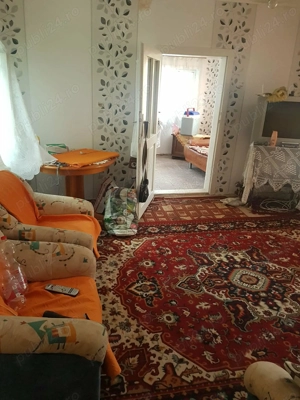 Casă de VÂNZARE în Sebiș, jud Arad  498m2 + TEREN - imagine 2