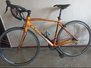 Cursiera Crescent marimea M