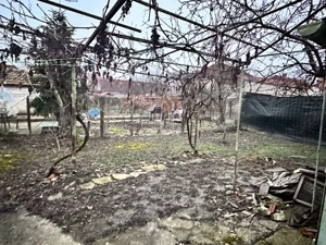 Vand Casa Timisoara  - imagine 4