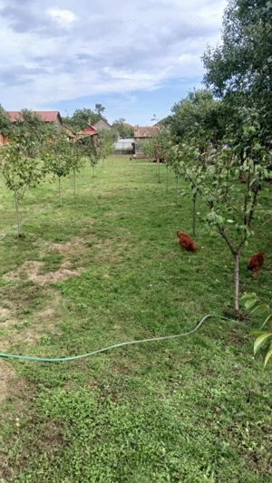 Casa in Inand - imagine 10