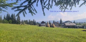 Vatra Dornei - Saru Dornei, Teren S = 6450 mp; La 13 km de Vatra Dornei si la 6 km de Calimani - imagine 6