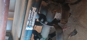 Freza de pamant - imagine 4