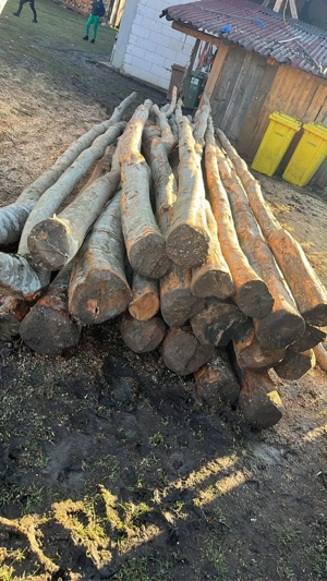 lemne pentru foc   - imagine 5