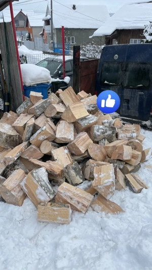 lemne pentru foc   - imagine 4