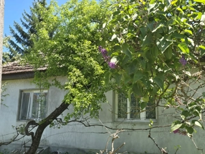 Casa in Manau,Ulmeni - imagine 5