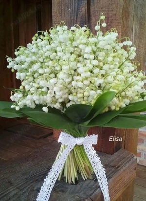 Persoană fizică ofer spre închiriere apartament cu două camere Podu Ros 