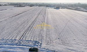 Teren, 7470 mp Trestieni Ulmi si casa - imagine 3