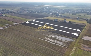 Teren intravilan case 10.000 mp, Str Sportului, Ulmi - imagine 3