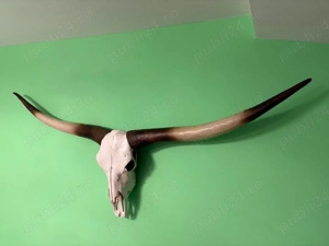 vand trofeu african 1500 lei nou