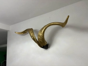 vand trofeu coarne special 390 lei 