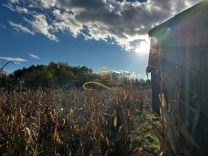 Casa batraneasca din caramida de vanzare si 4500 mp teren Negri Bacau - imagine 20