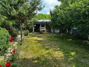 Casa batraneasca cu 2ha de teren de vanzare in sat Balaia / Bacau - imagine 8