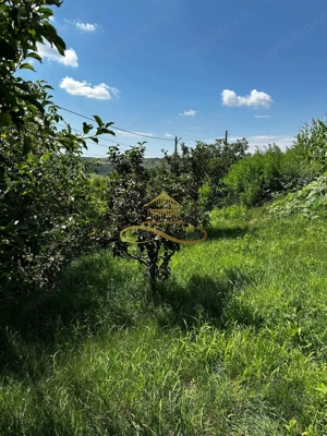 Casa de vanzare in Secuieni / Bacau - imagine 18