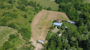 Casa batraneasca cu 2ha de teren de vanzare in sat Balaia / Bacau - imagine 2