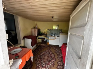 Casa batraneasca cu 2ha de teren de vanzare in sat Balaia / Bacau - imagine 20