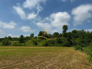 Casa batraneasca cu 2ha de teren de vanzare in sat Balaia / Bacau - imagine 9