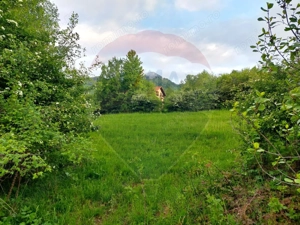 Teren Bran-Zarnesti - Tohanita, 4223mp - imagine 6