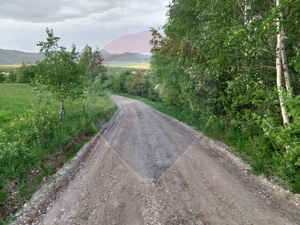 Teren Bran-Zarnesti - Tohanita, 4223mp - imagine 9