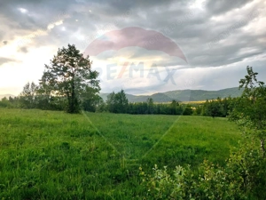Teren Bran-Zarnesti - Tohanita, 4223mp - imagine 5