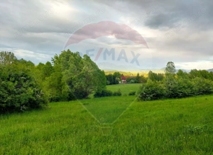 Teren Bran-Zarnesti - Tohanita, 4223mp - imagine 10