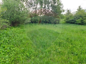 Teren Bran-Zarnesti - Tohanita, 4223mp - imagine 16