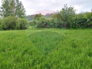 Teren Bran-Zarnesti - Tohanita, 4223mp - imagine 4