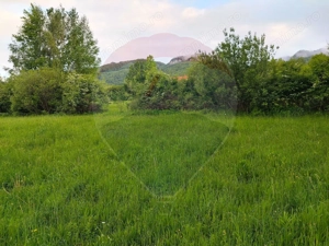 Teren Bran-Zarnesti - Tohanita, 4223mp - imagine 15