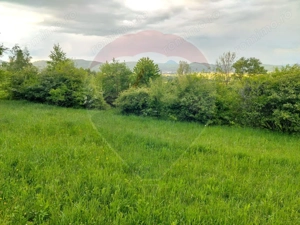 Teren Bran-Zarnesti - Tohanita, 4223mp - imagine 12