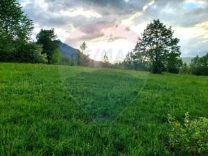 Teren Bran-Zarnesti - Tohanita, 4223mp - imagine 11