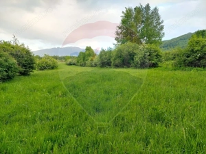 Teren Bran-Zarnesti - Tohanita, 4223mp - imagine 7