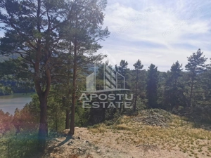Teren intravilan, 2000mp, cu vedere panoramica spre lacul Valiug - imagine 3