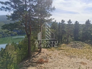 Teren intravilan, 2000mp, cu vedere panoramica spre lacul Valiug - imagine 4