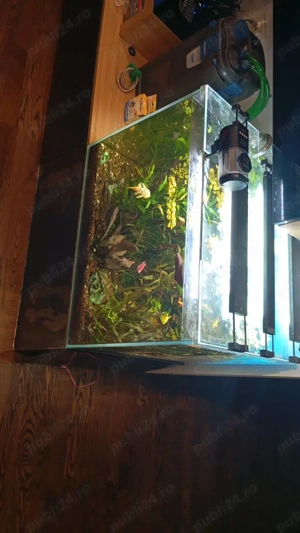 Vând acvariu 250 litri complet accesorizat - imagine 2