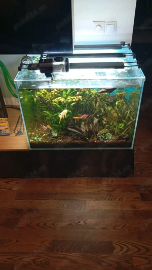 Vând acvariu 250 litri complet accesorizat - imagine 3