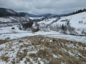 Teren 12.066 mp intravilan de vânzare în Bucovina Comuna Breaza Zona Breaza De sus - imagine 8