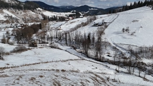 Teren 12.066 mp intravilan de vânzare în Bucovina Comuna Breaza Zona Breaza De sus - imagine 9