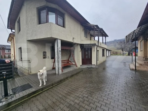 2 Case deosebite de vanzare - Zona Rebrisoara