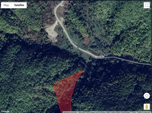 Padure Stejar 2ha Bordeni Prahova - imagine 3