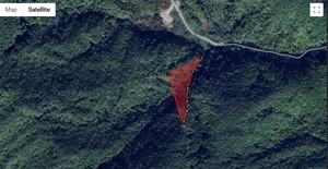 Padure Stejar 2ha Bordeni Prahova - imagine 2