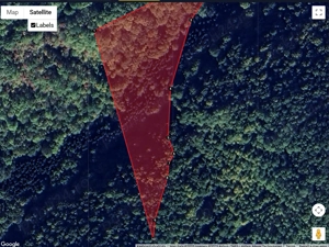 Padure Stejar 2ha Bordeni Prahova - imagine 4