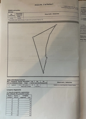 Padure Stejar 2ha Bordeni Prahova - imagine 7