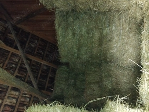 Baloti de fan 3 buc.