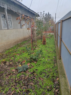 Vând casă +teren - imagine 3