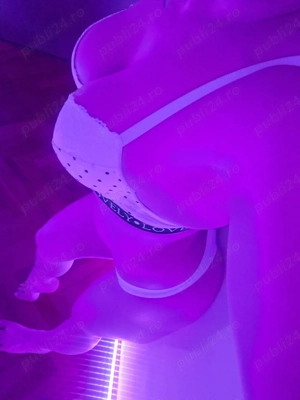 Doar Deplasări Hotel Pensiune sau Domiciliu 